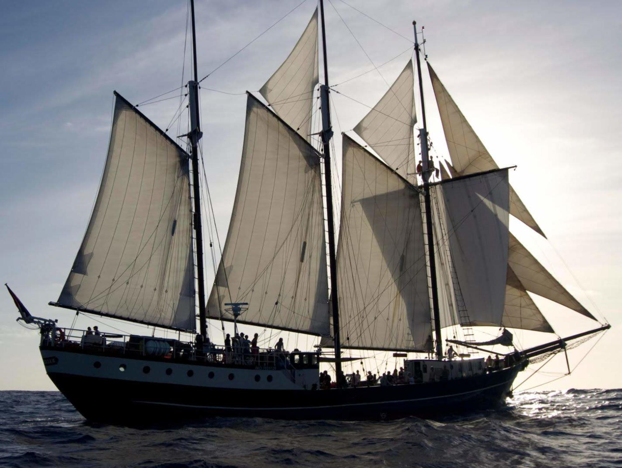 sail for climate action regina maris