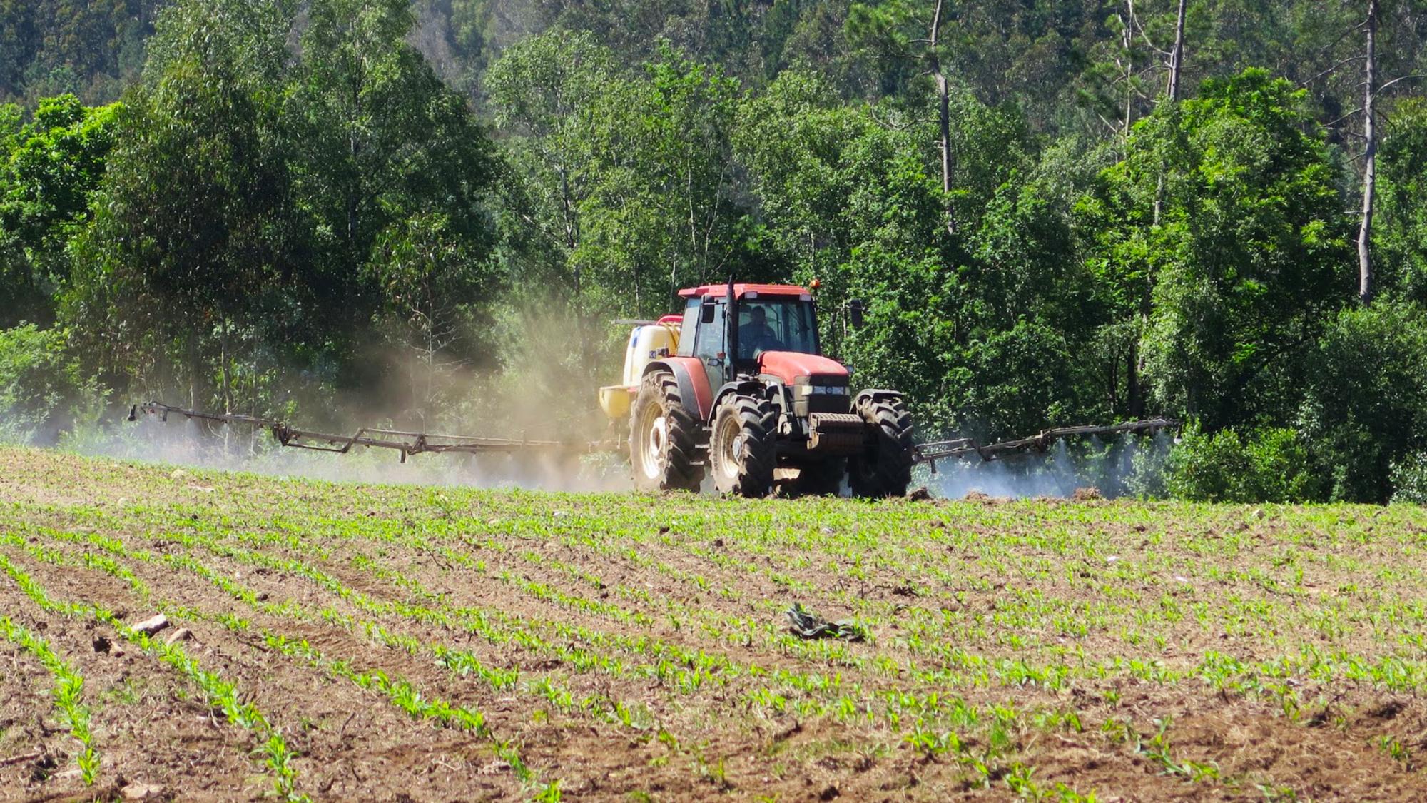 pesticidas campo maiz galicia