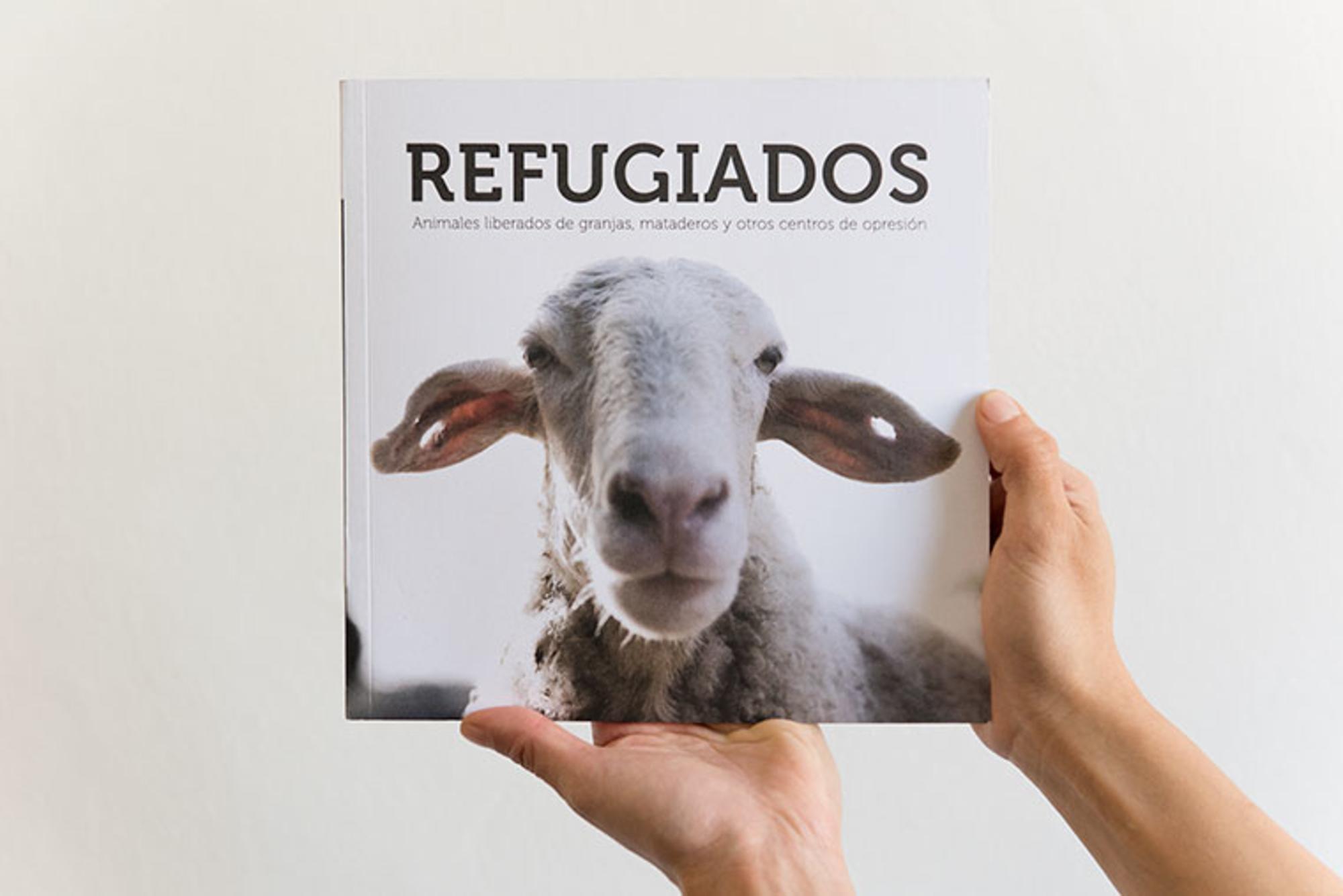 Portada Refugiados