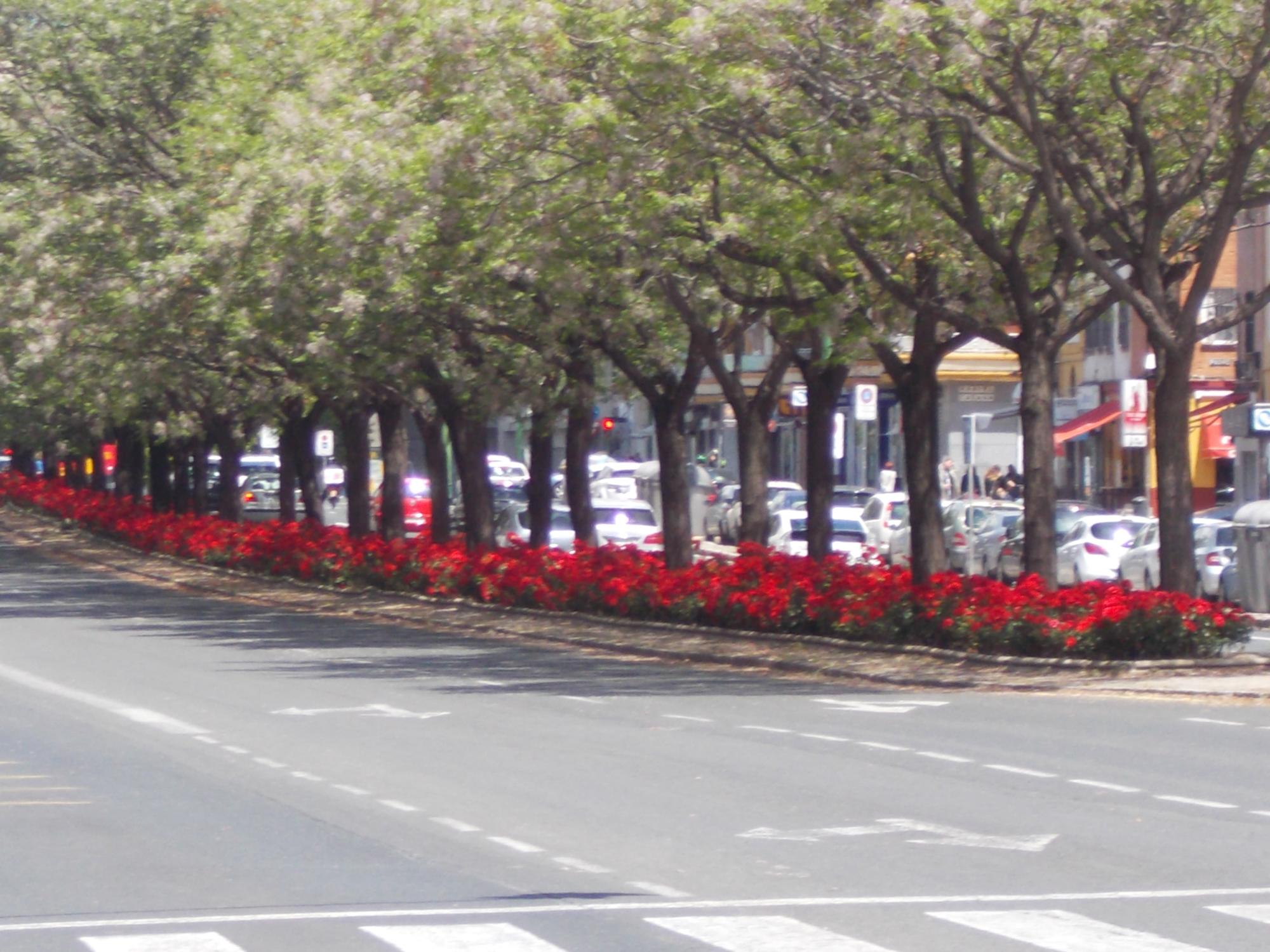 Nervión Verde 3