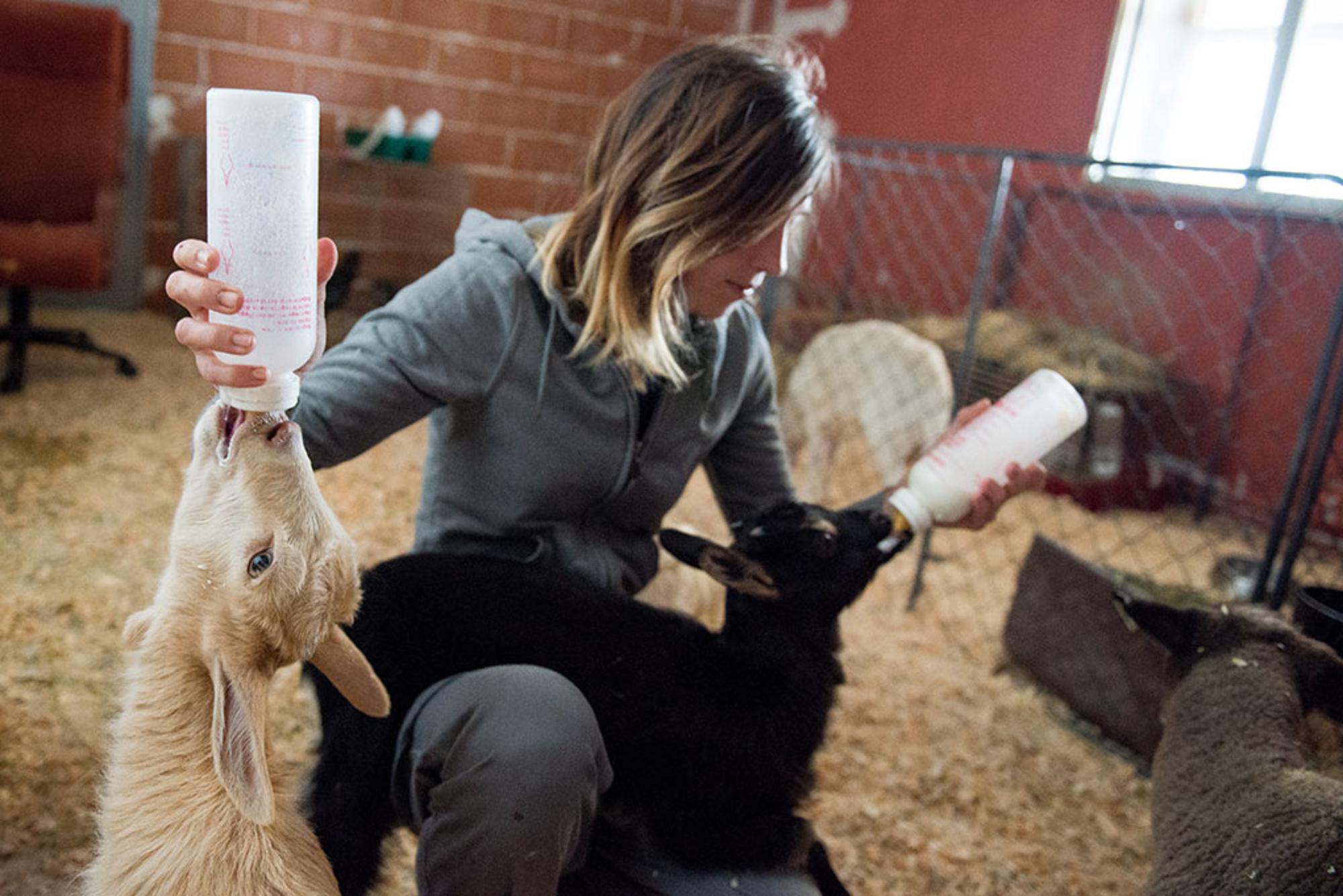 Laura da de comer a dos habitantes del Santuario Vegan
