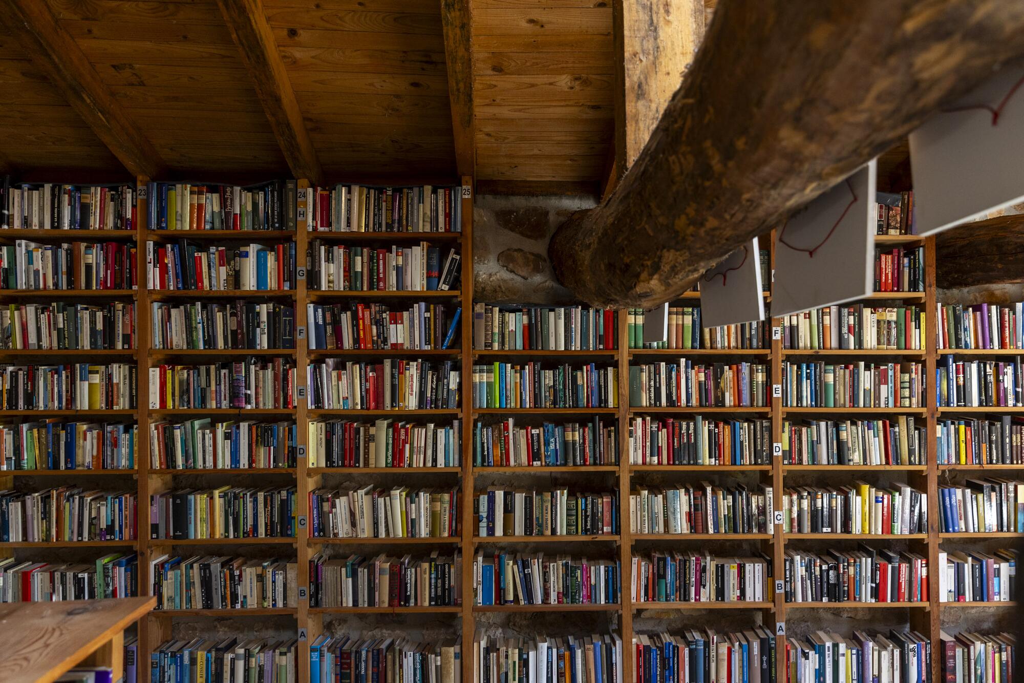 Quintanalara biblioteca - 8