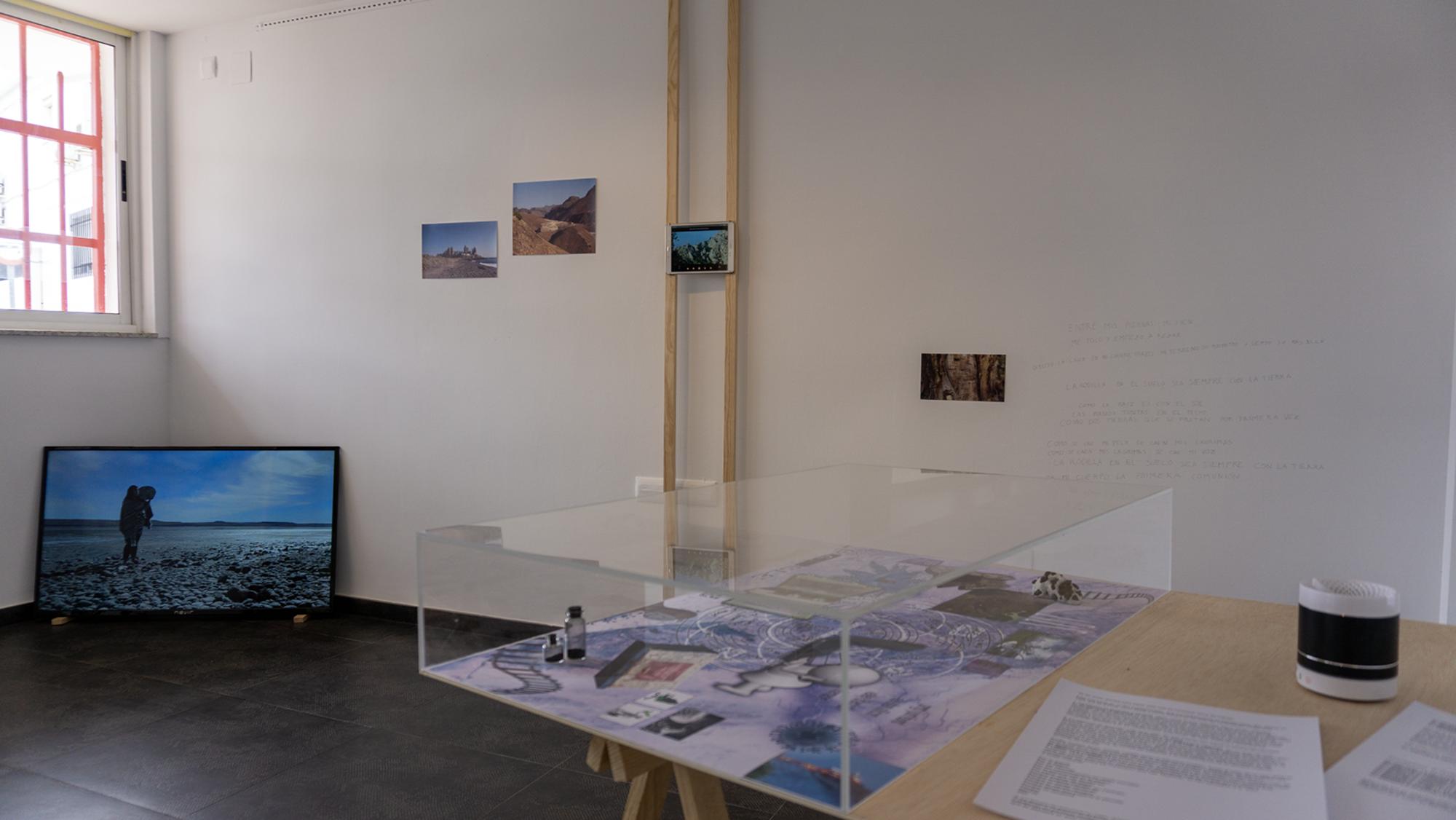 Exposición Cerca del Suelo