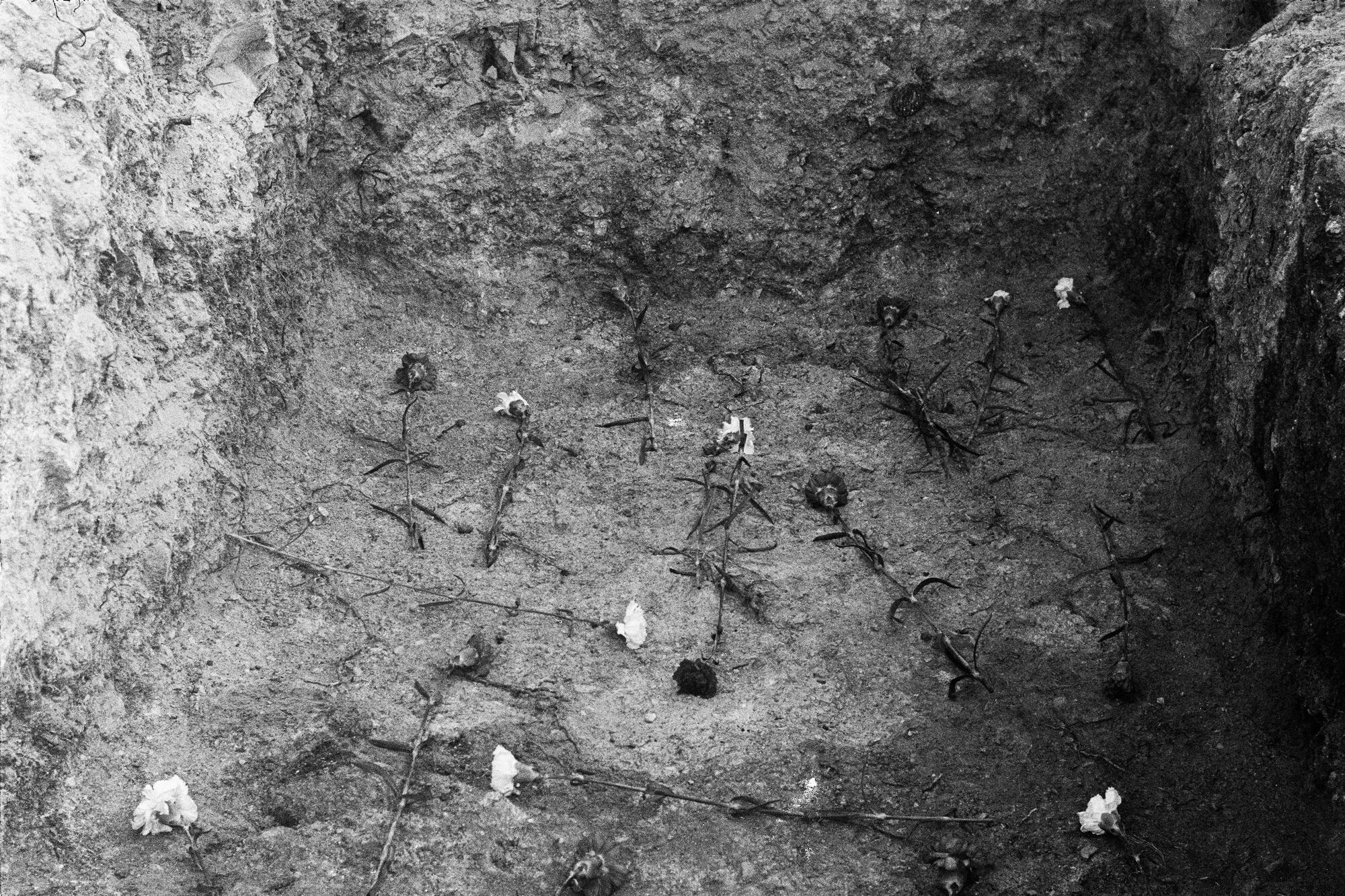 Opinión Víznar fosas 3