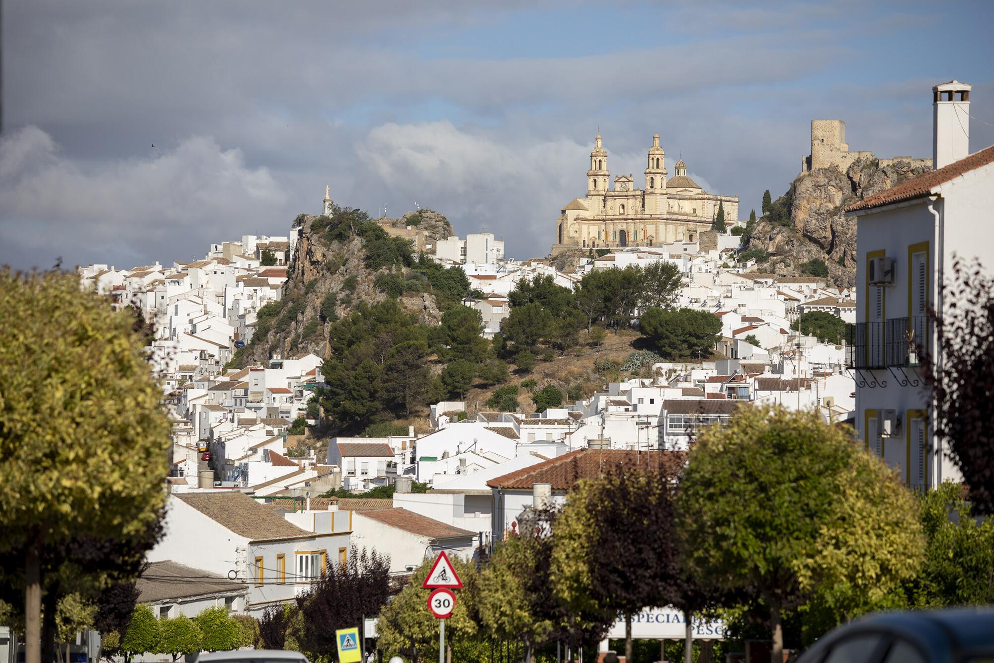 Olvera 1