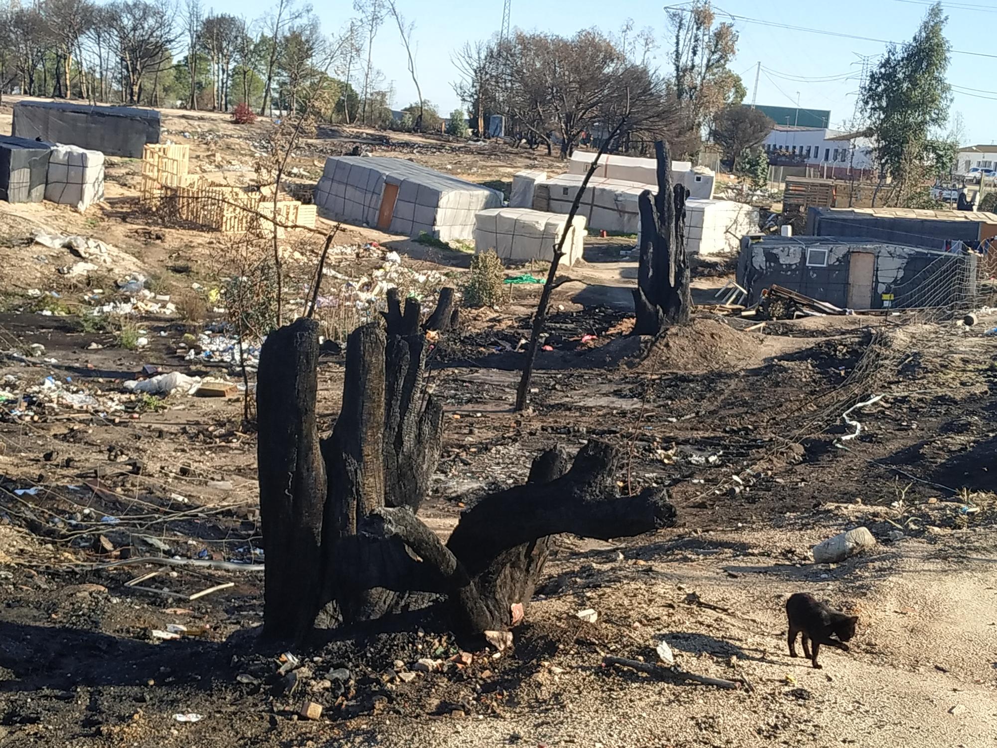 Asentamiento Palos Huelva incendio