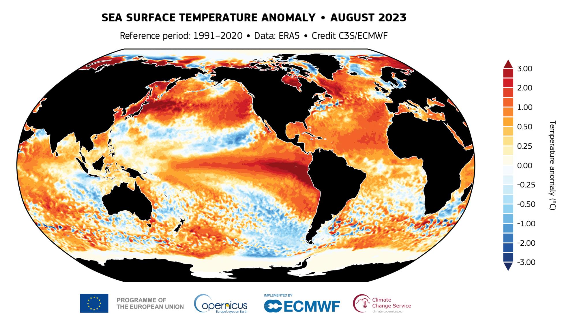 anomalias copernicus superficie oceano