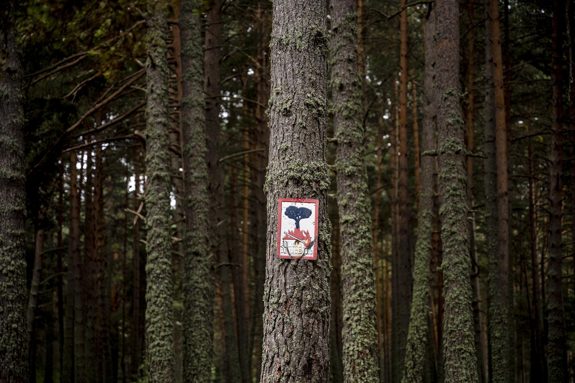 Cartel incendios