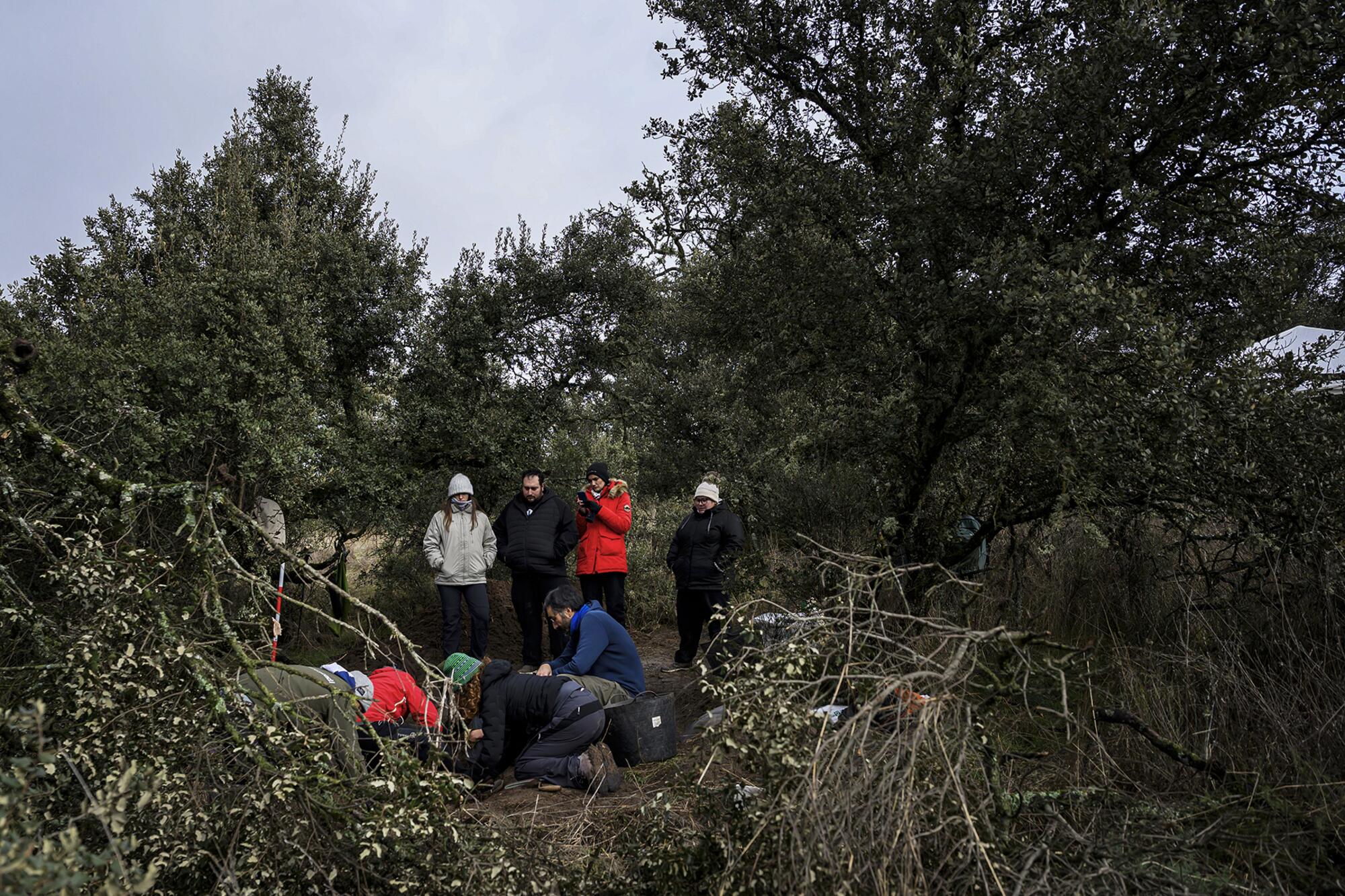 Brigadista Boadilla - 4