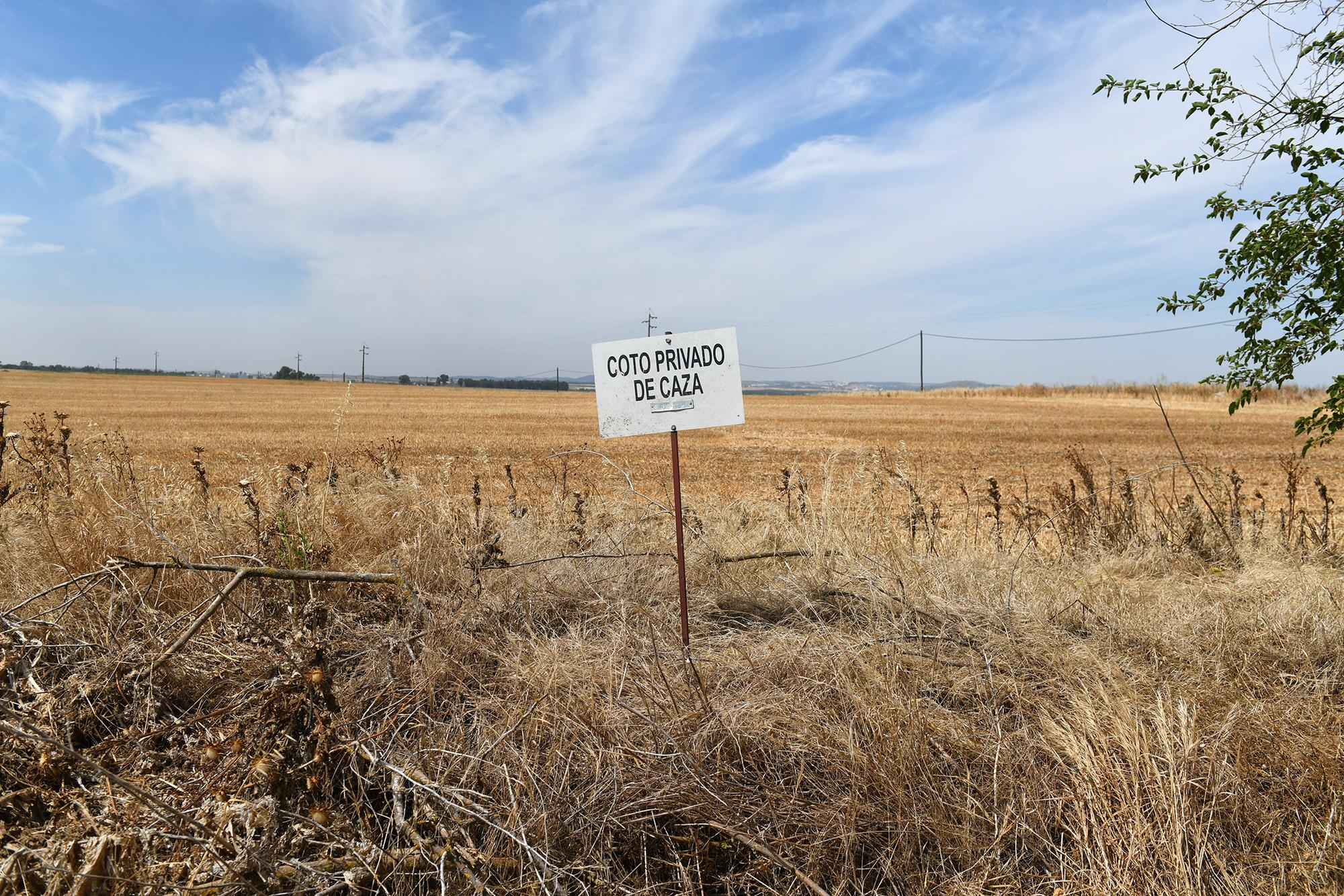 Coto privado de caza Badajoz.