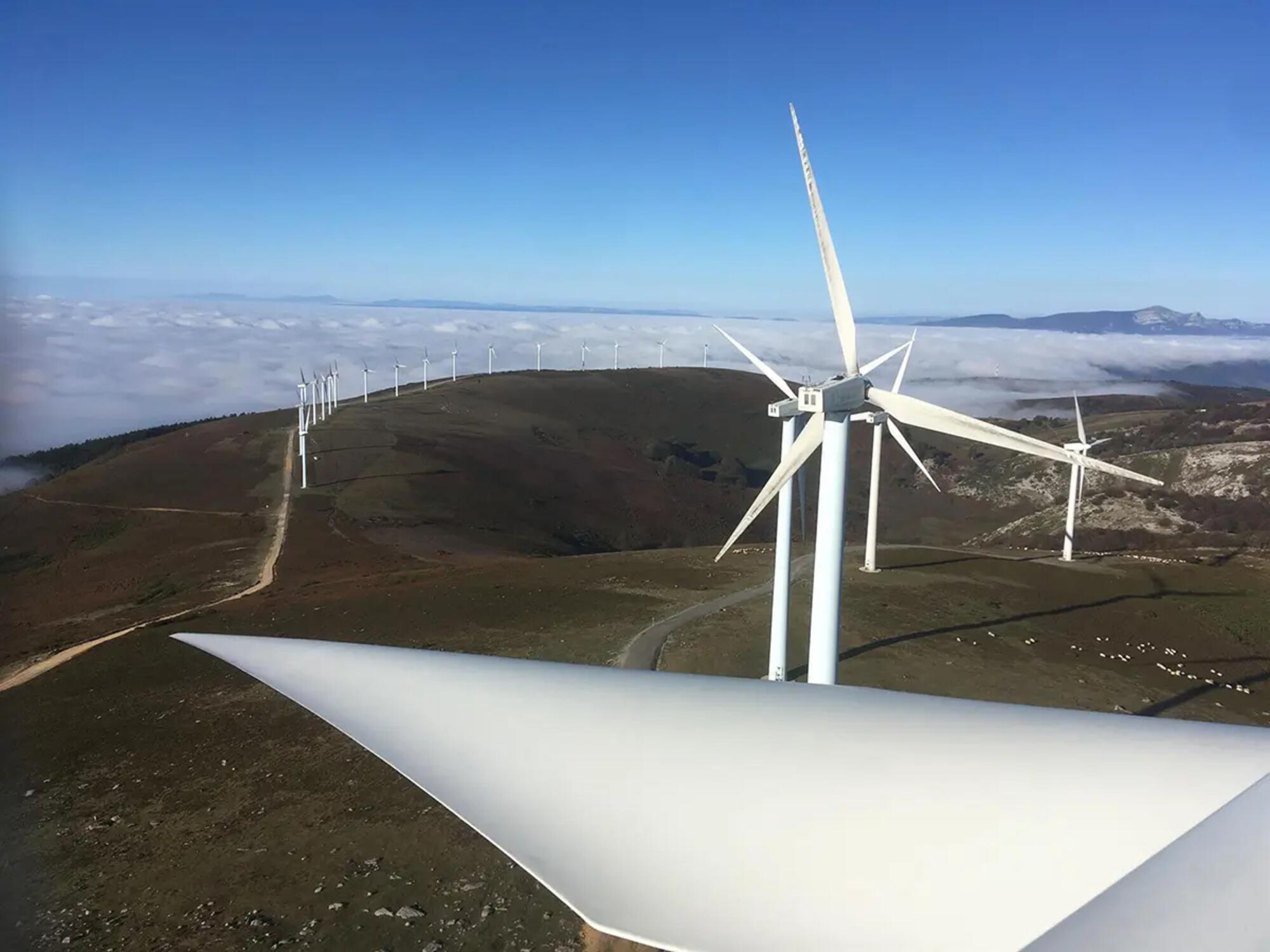 iberdrola-eolico