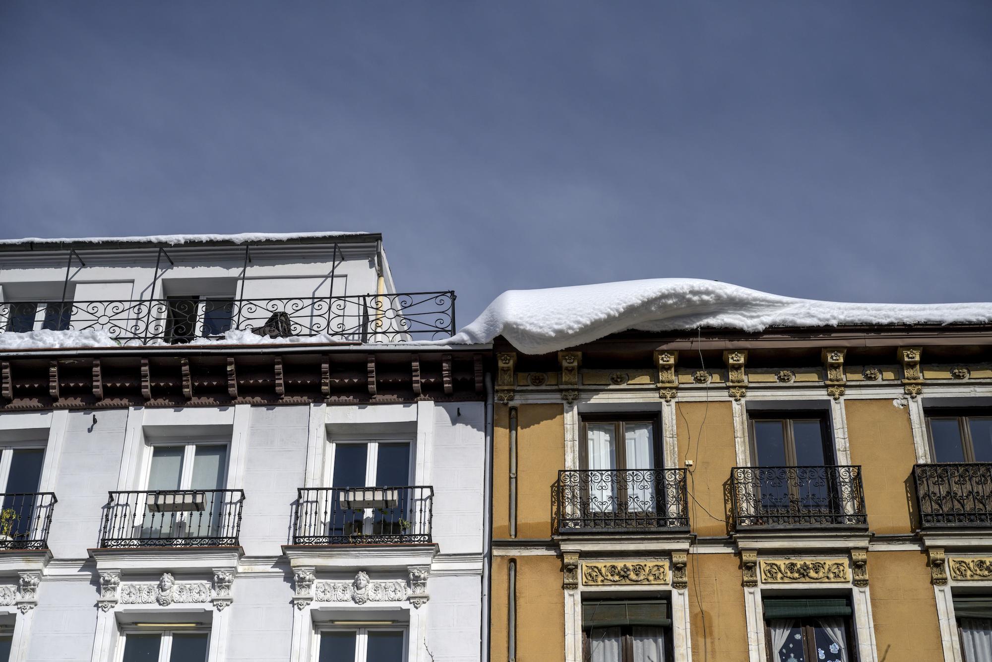 Nevada enero 2021 - 6