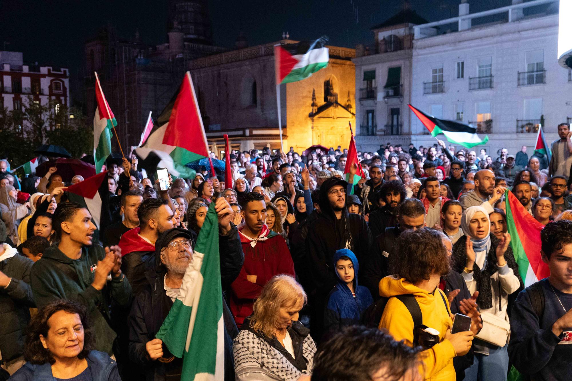 manifestacion palestina sevilla - 5