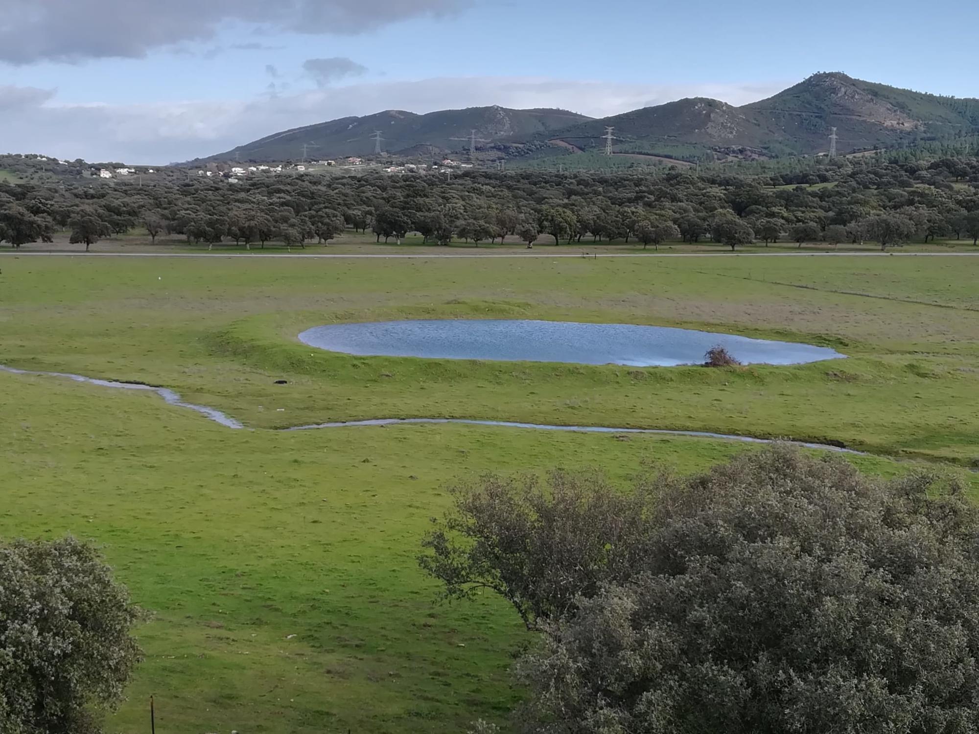 No a la mina de Cañaveral. Paraje Las Navas.