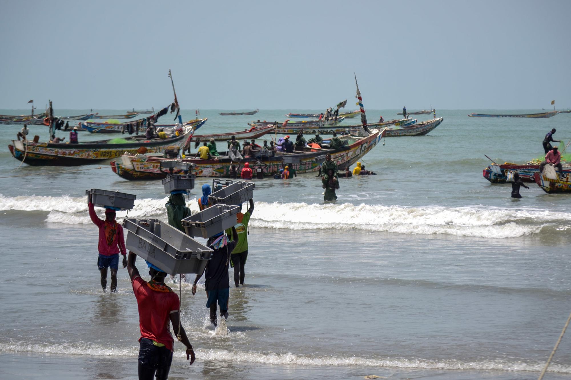 Pesca en Gambia 3