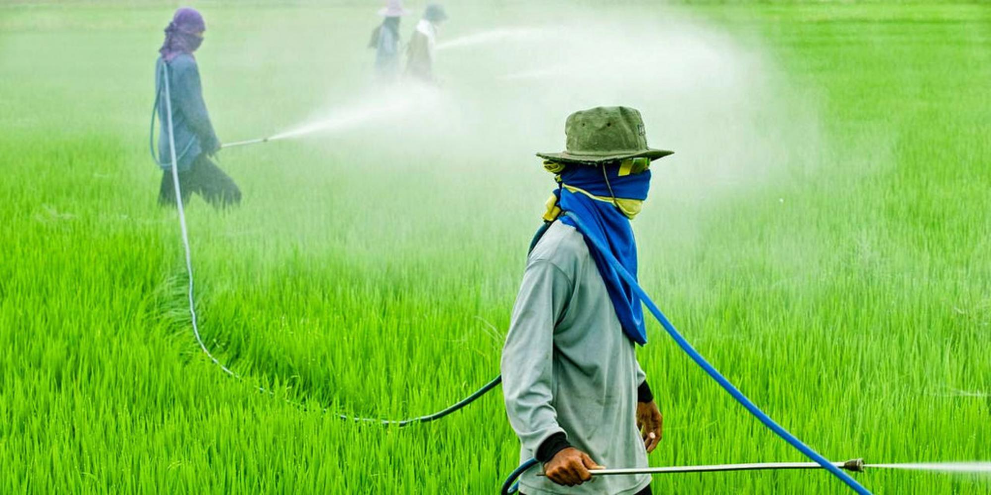Uso de pesticidas en Brasil