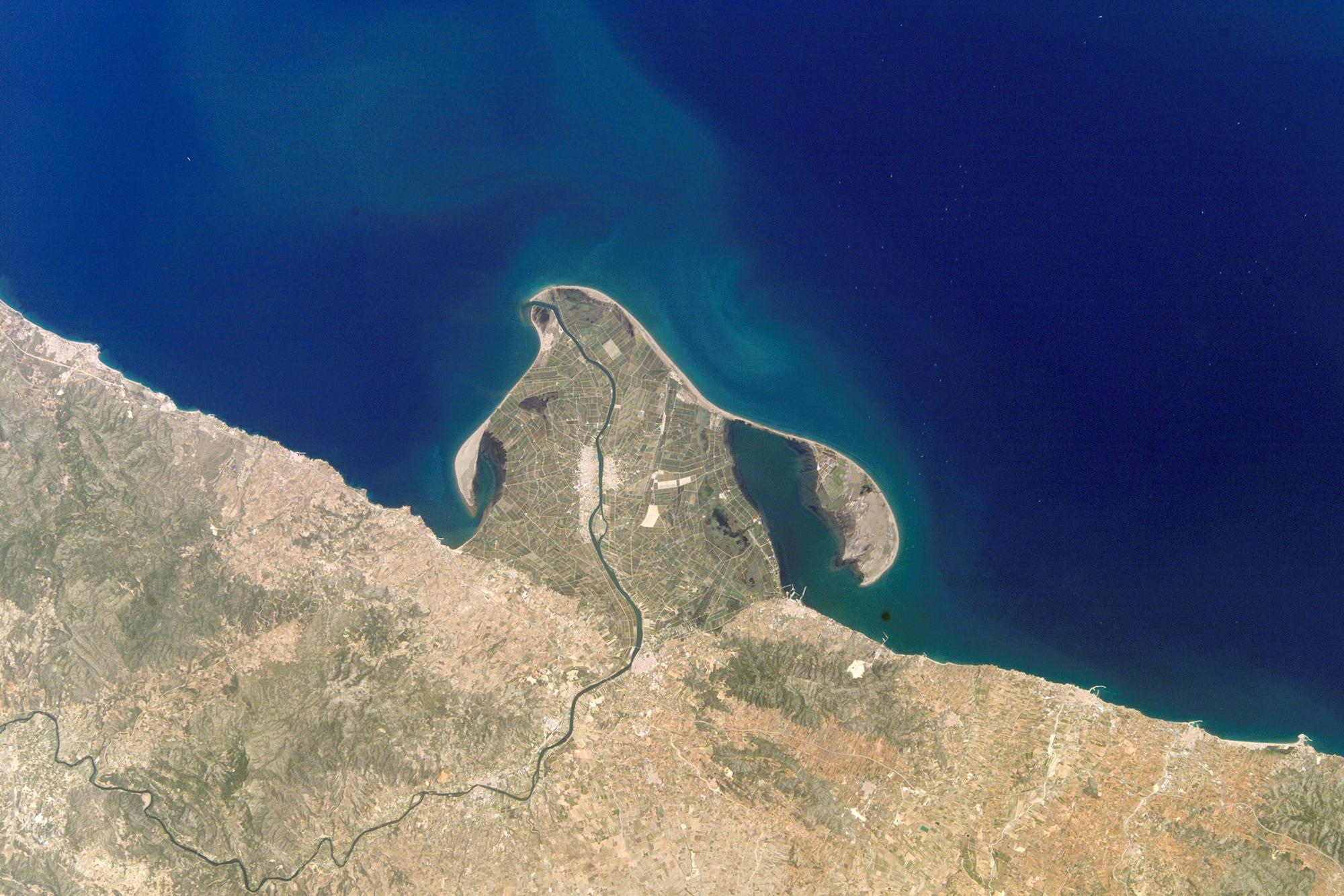 Delta del Ebro humedal