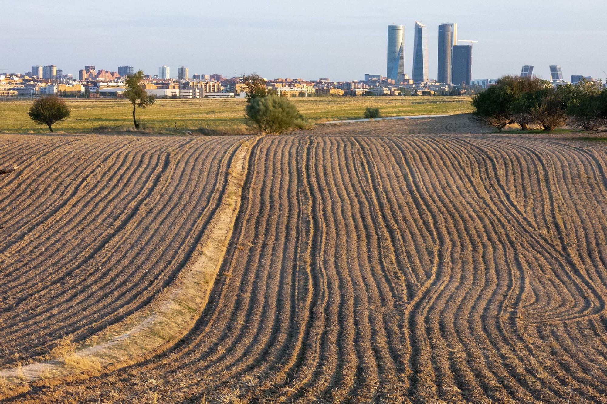 Las cuatro torres de Madrid del Parque Empresarial Cuatro Torres Business Area, al fondo