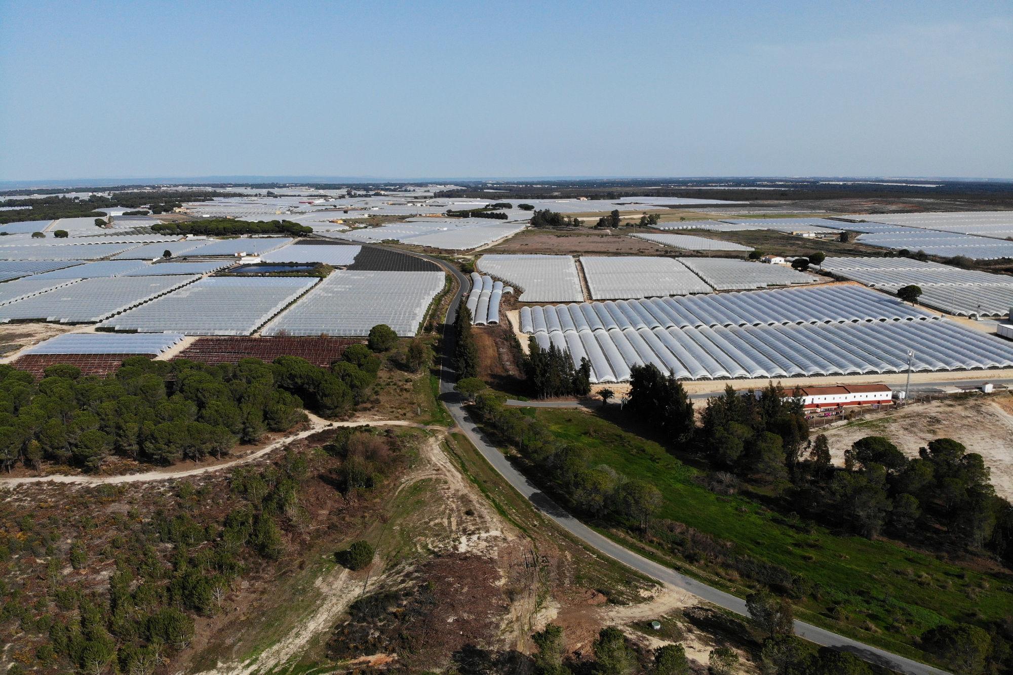 Agua Doñana 01