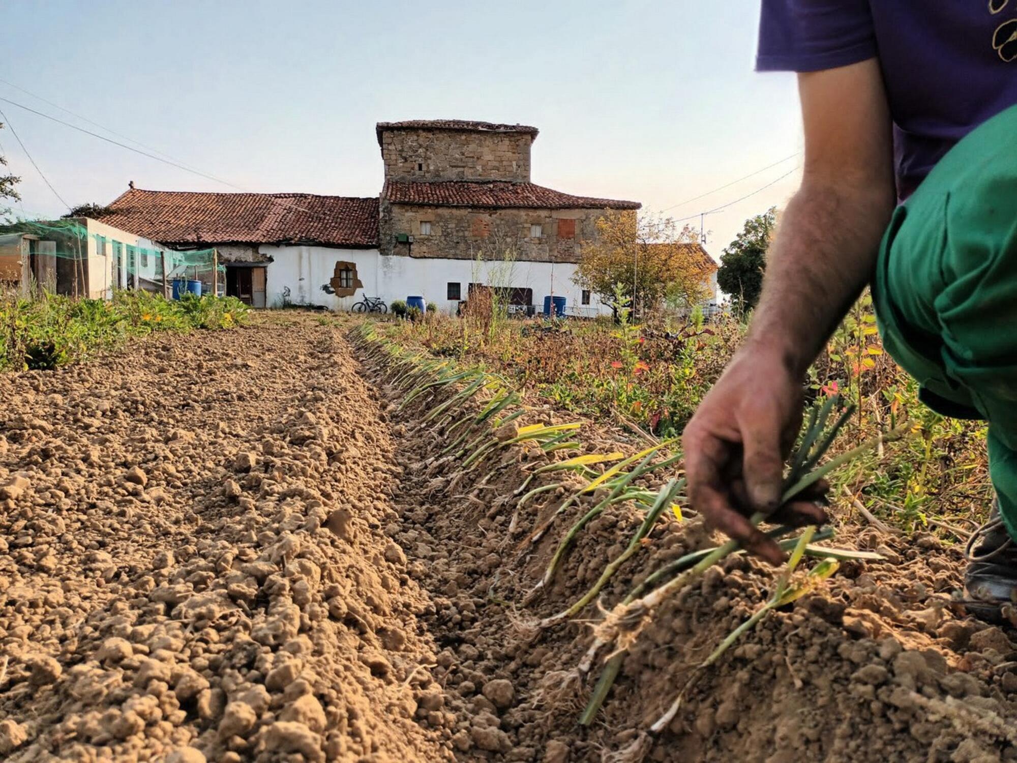 Otxantegi Herri Lurra, en Berango 2