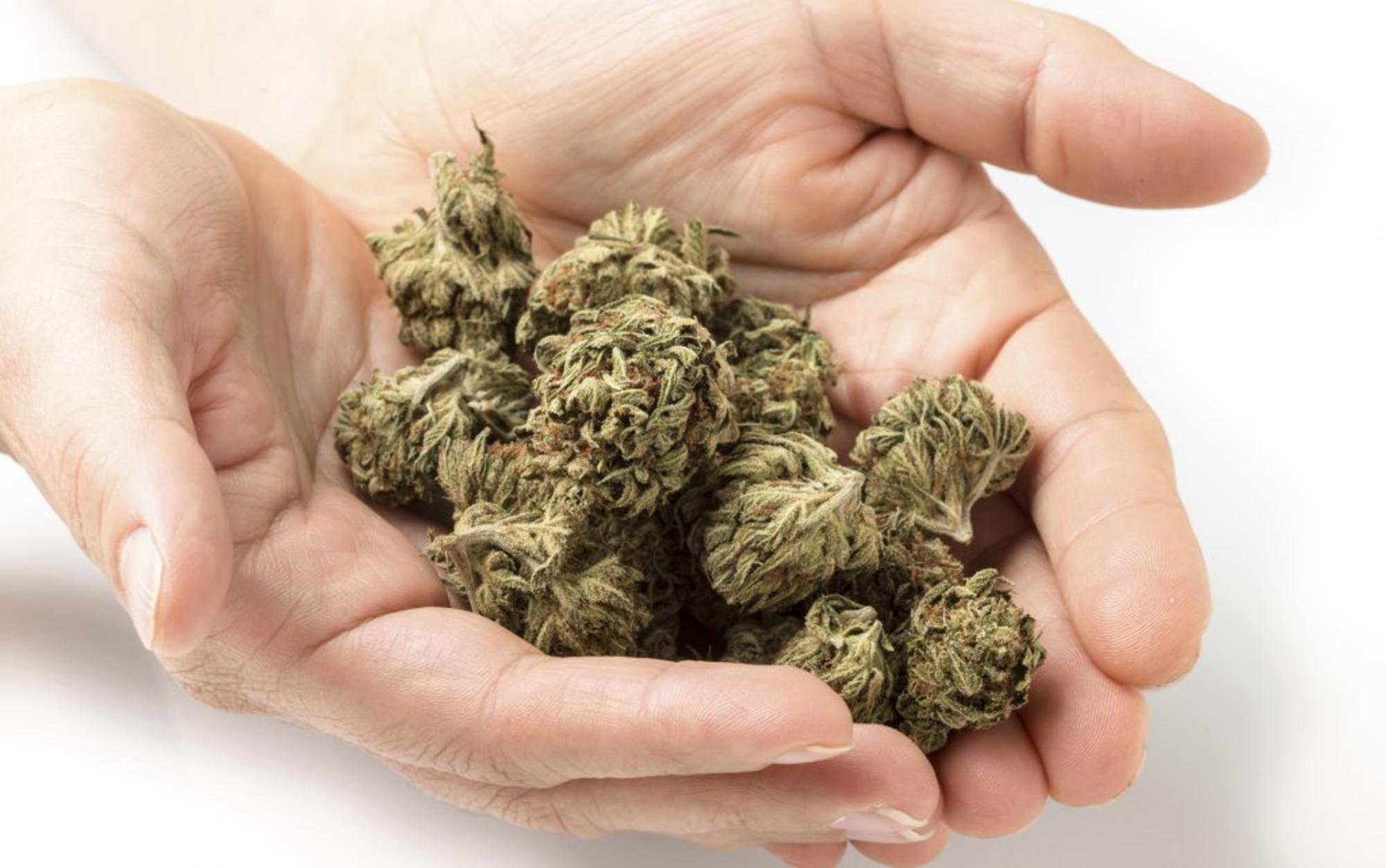 Legalización cannabis medicinal