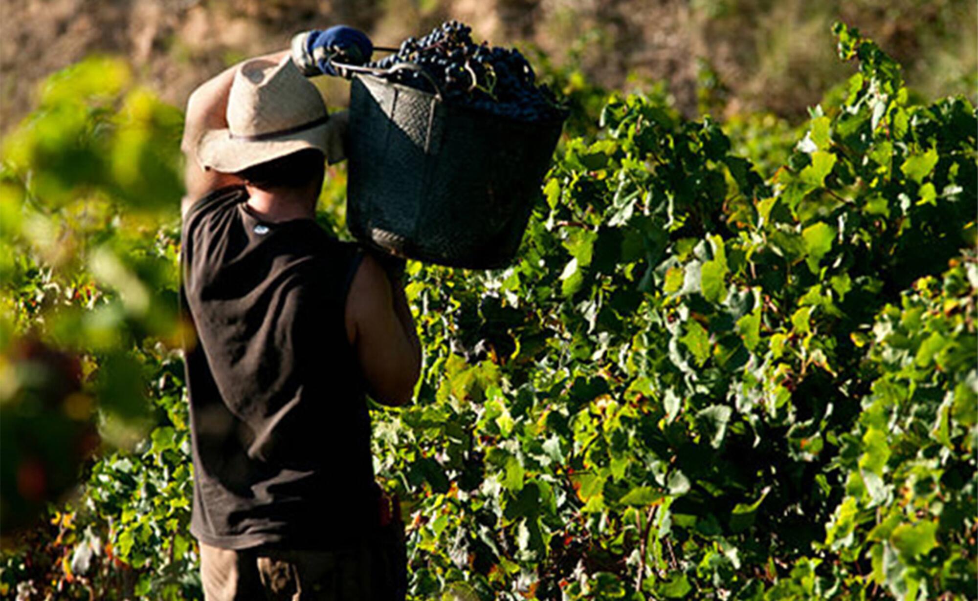 lsi-sectores-precarizados