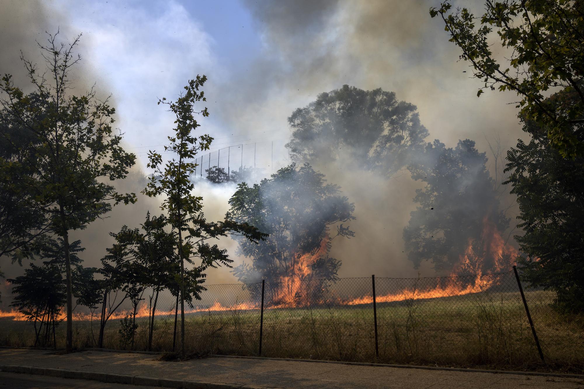 Segundo incendio en la Dehesa de la Villa de Madrid -port