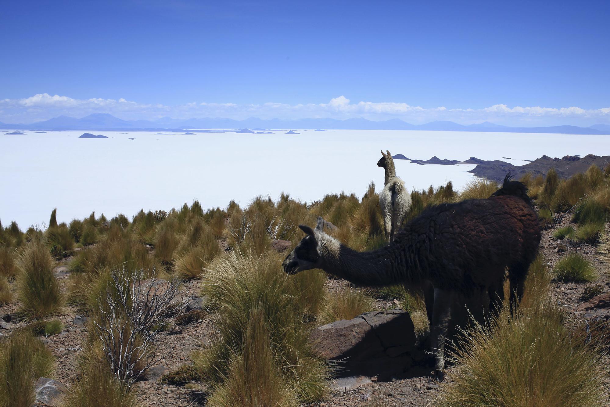 Bolivia mar - 6