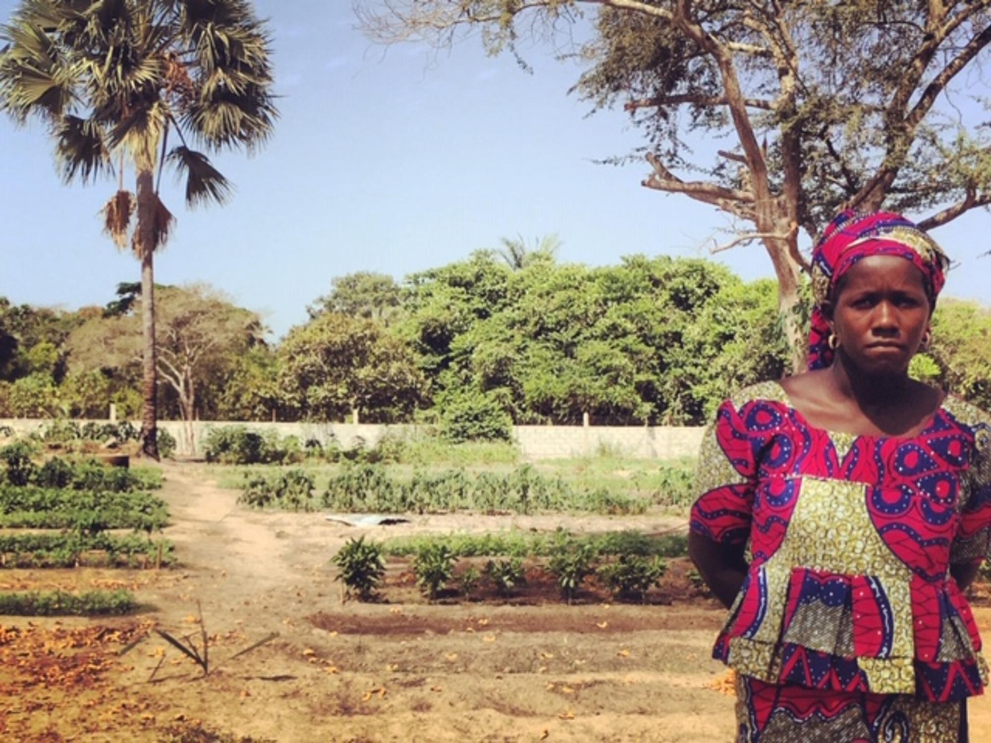 Huerta comunitaria en Diatock (Senegal)