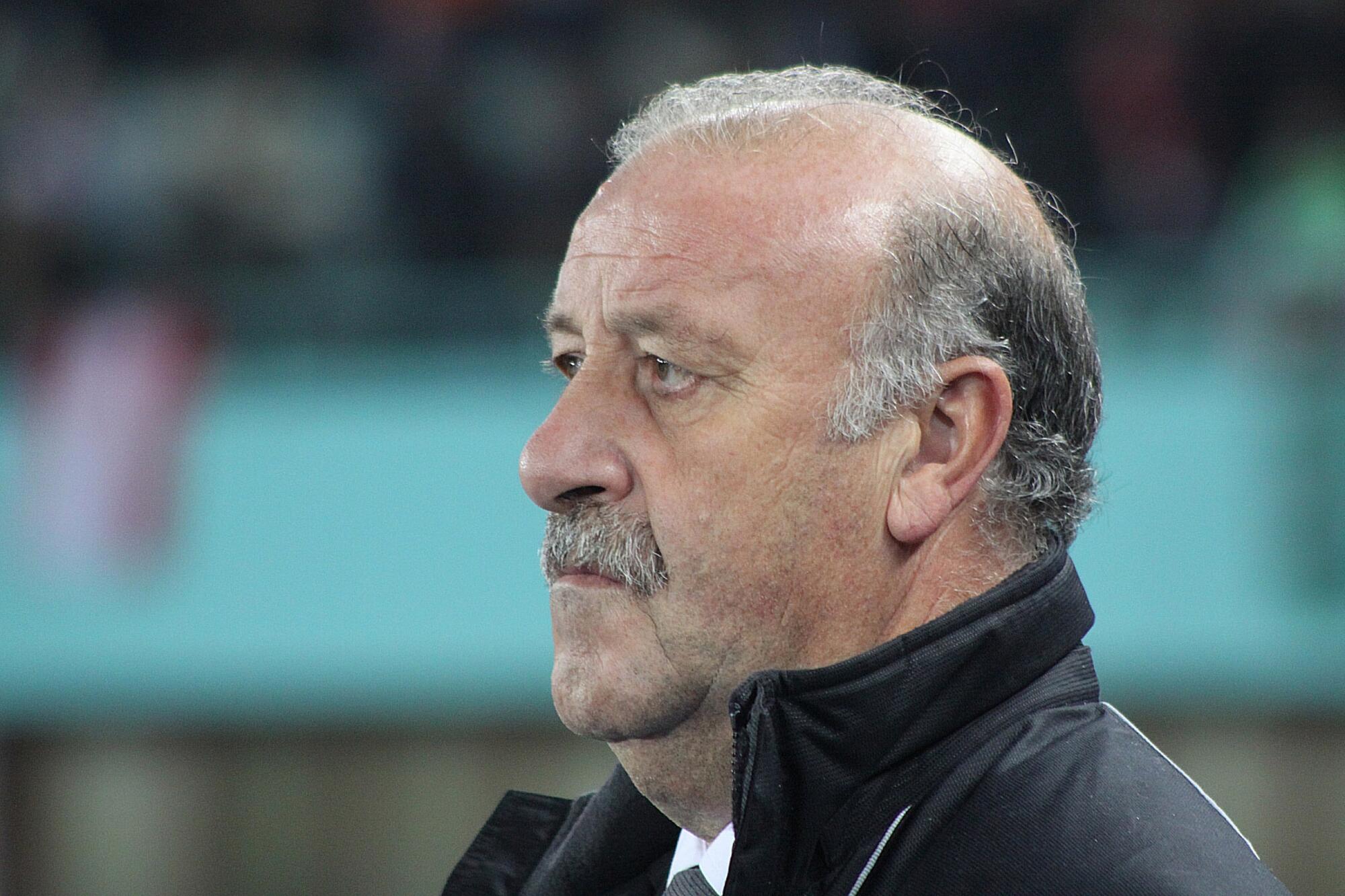 Vicente del Bosque