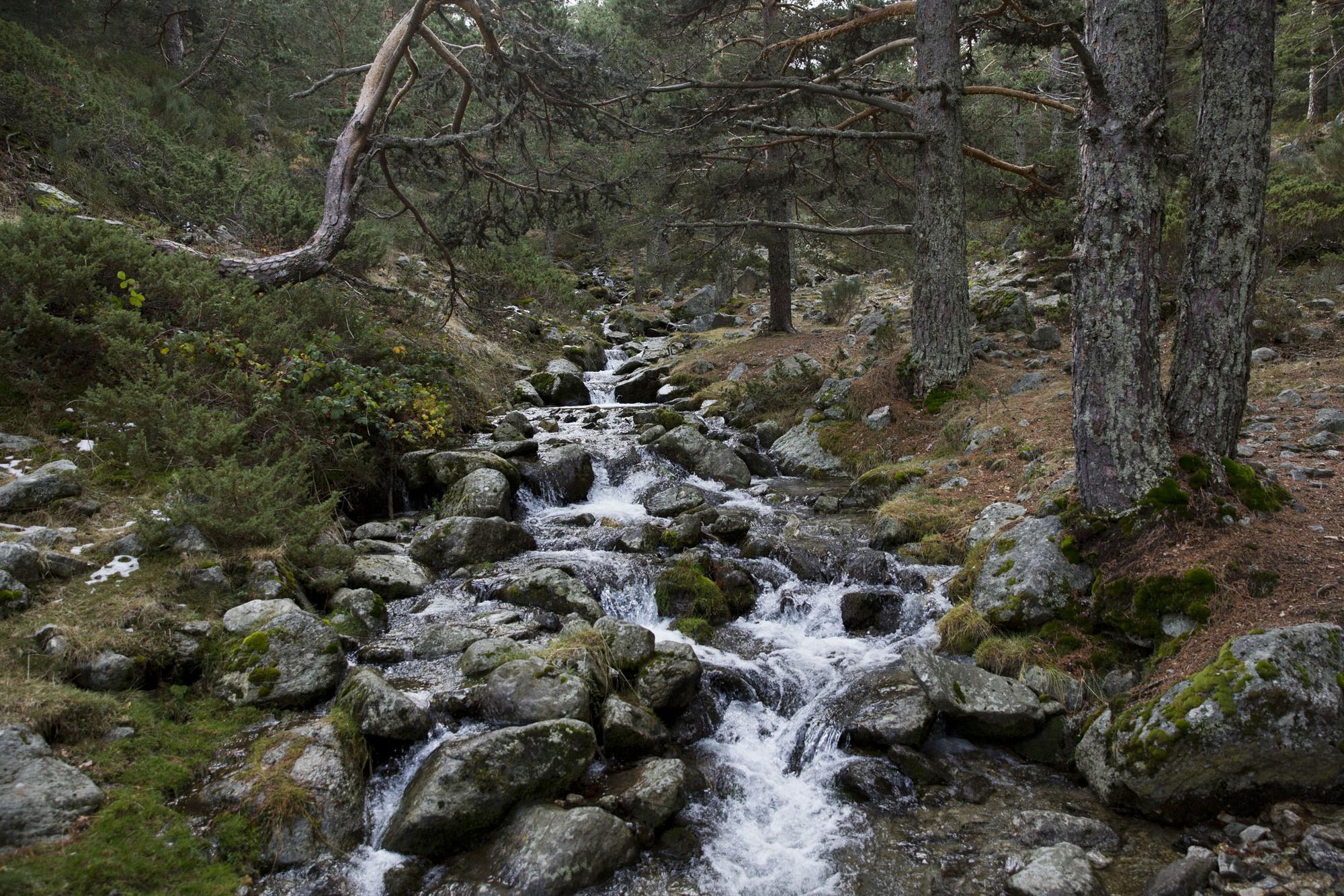 Rio Montaña El Paular