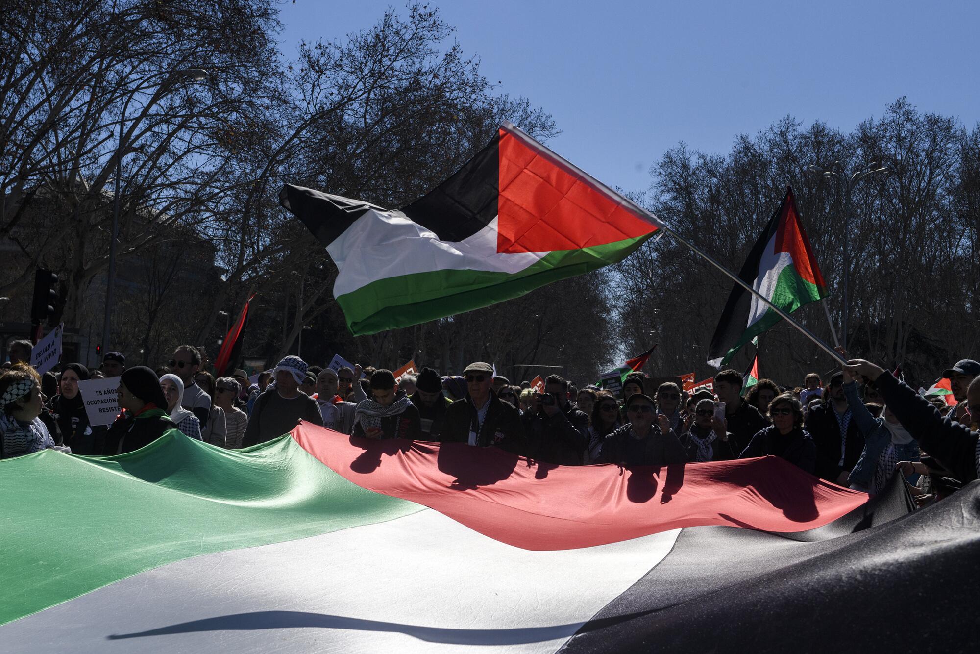 Manifestación del 17 de febrero "Libertad para Palestina" convocada por Sumar, IU, Más País, PCE y los grandes sindicatos. El PSOE apoyó la manifestación como "participante". - 1