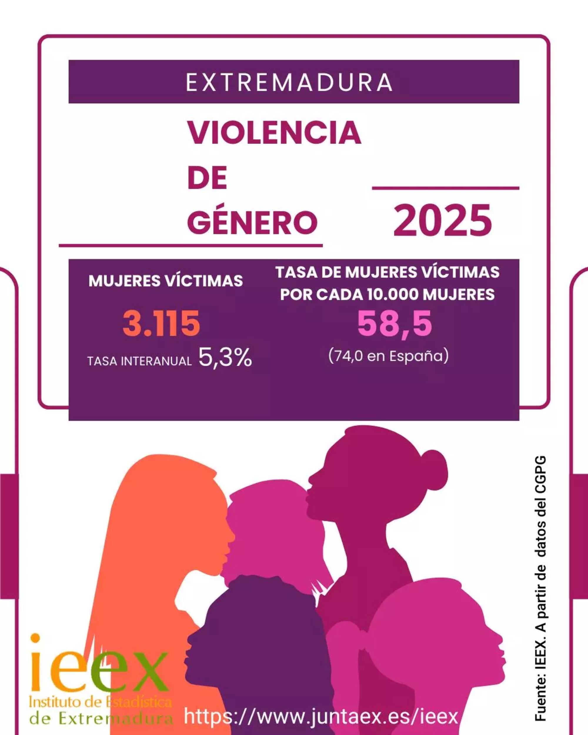 Datos violencia machista Extremadura IEEX