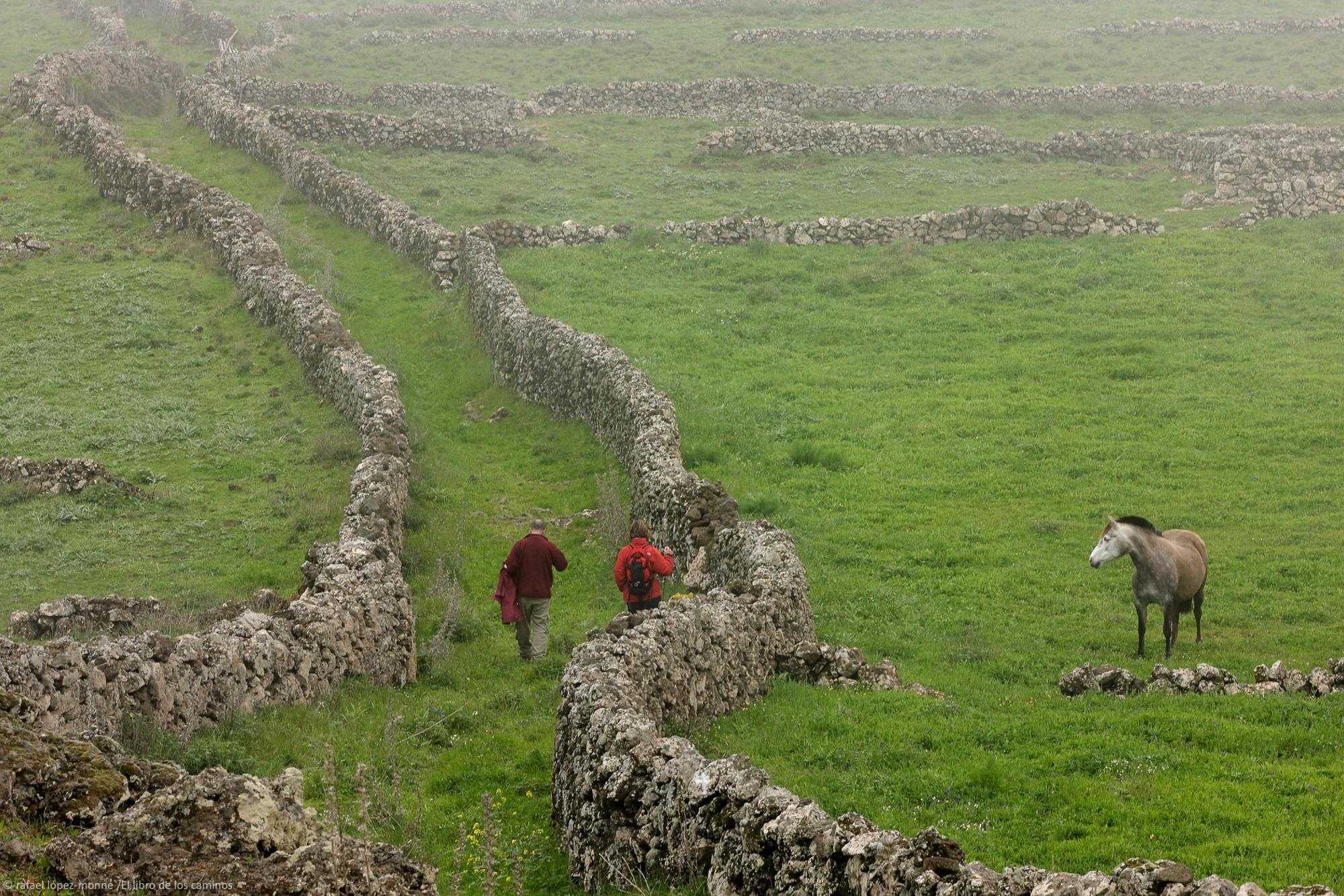 Medio rural muros