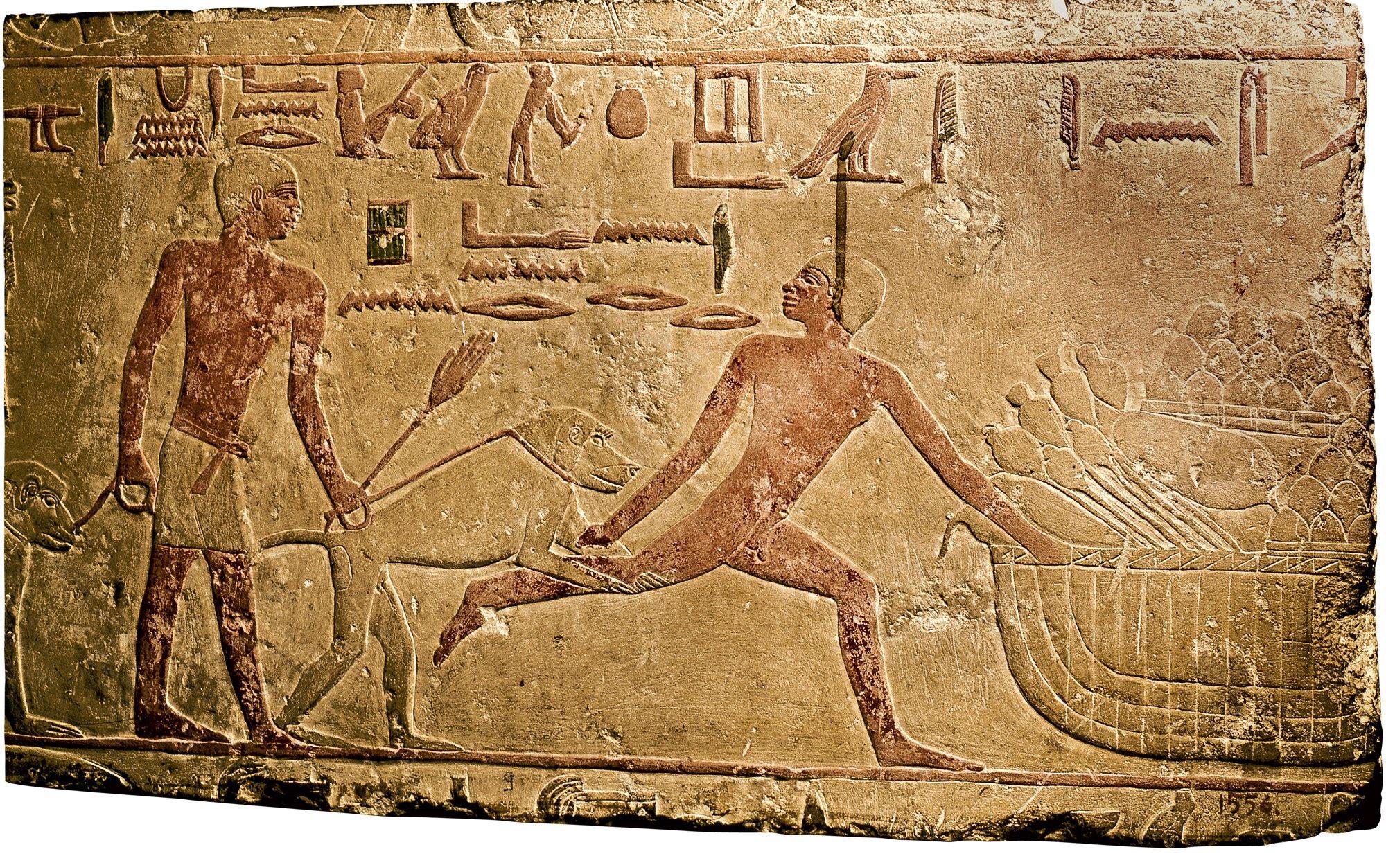 Policía egipto