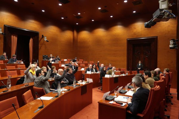 Recurso inconstitucionalidad 155
