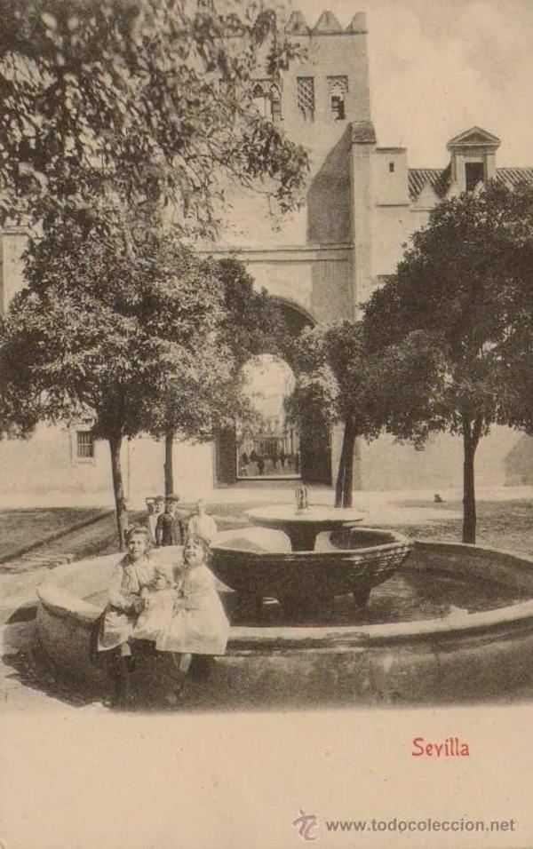 Niñas en el Patio de los Naranjos