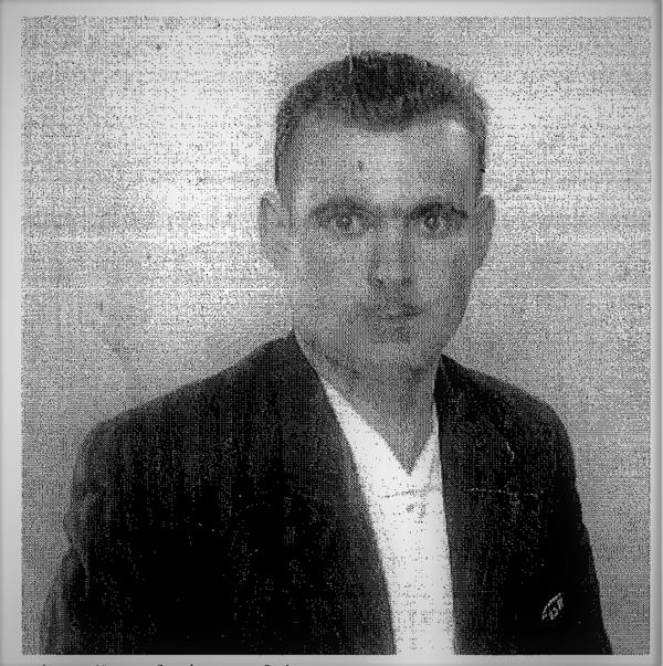 David Pamies
