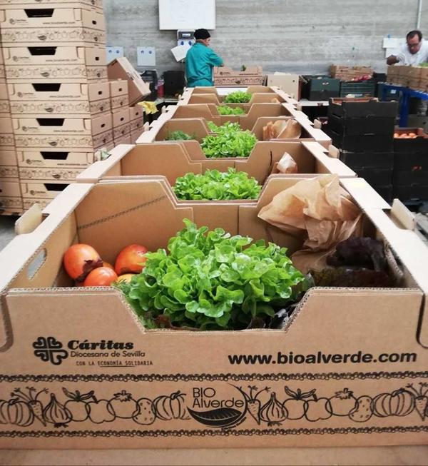 Bioalverde 02