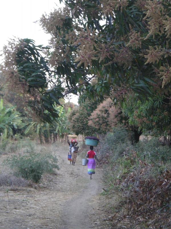Camino de Changara