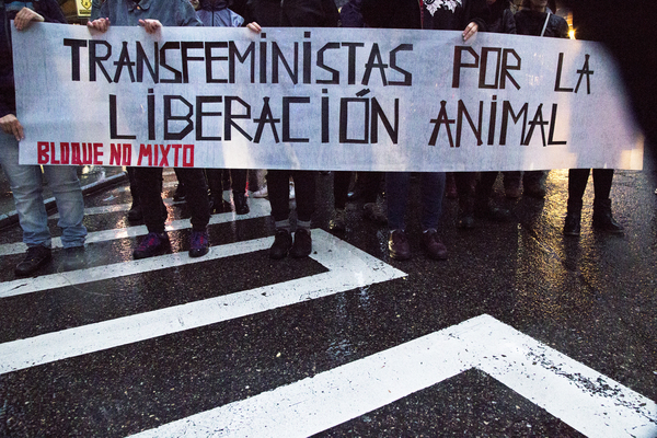 Antiespecismo 4 Noviembre