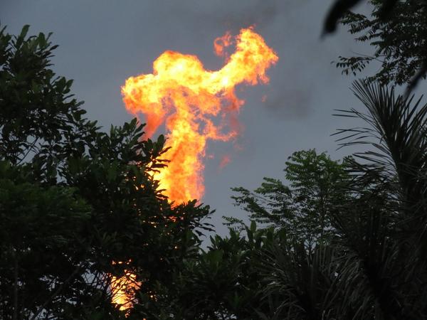 Mechero de quema de gases en la Amazonía. Ecuador