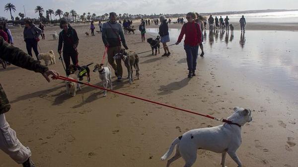 paseo perros chiclana