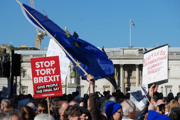 Manifestacion Brexit 2018 Londres