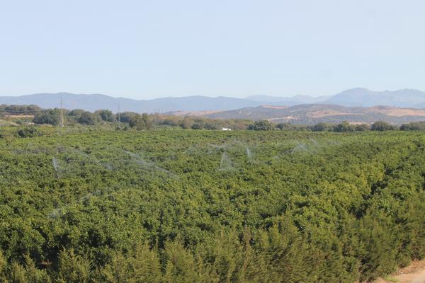 Reportaje Litoral Campo de Gibraltar 4