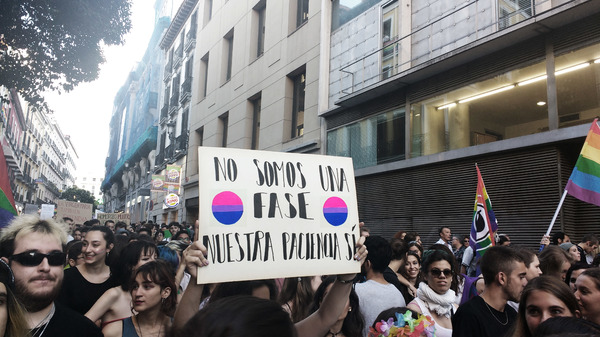 Bloque Bisexual en el Orgullo Crítico 2017 