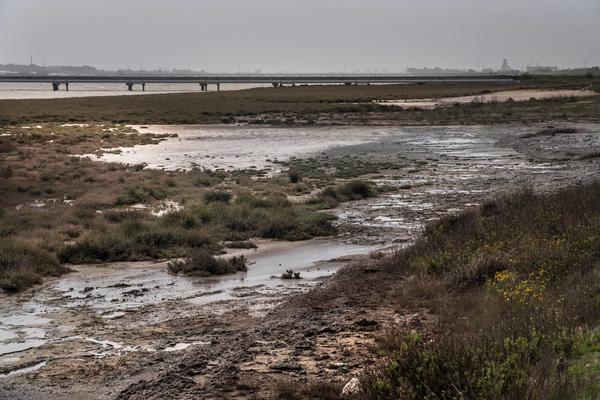 Filtraciones balsas fosfoyesos rio tinto huelva