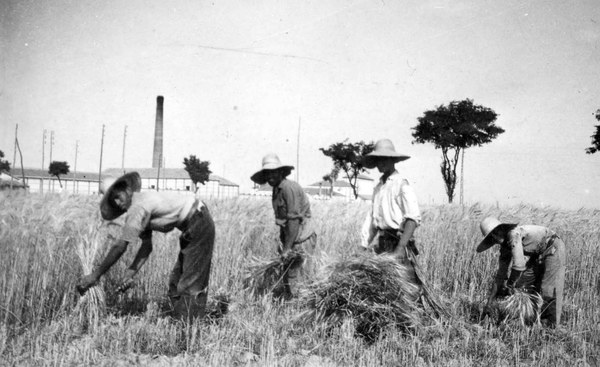 Campesinos extremeños