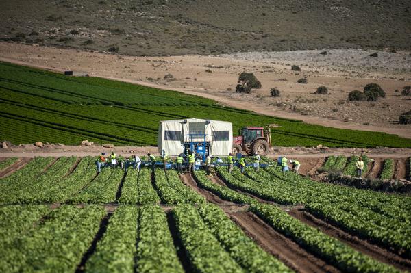 Agricultura