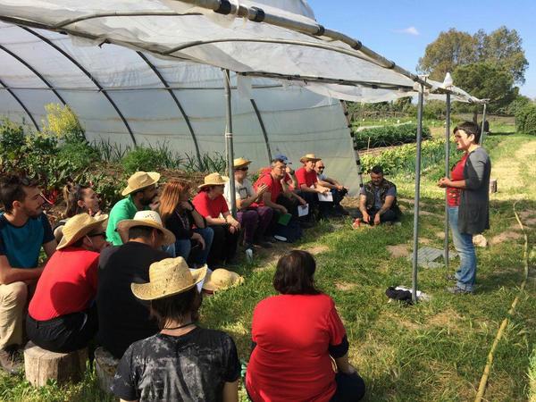 Cooperativa Germinando